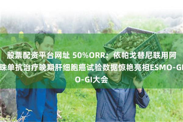 股票配资平台网址 50%ORR：依帕戈替尼联用阿替利珠单抗治疗晚期肝细胞癌试验数据惊艳亮相ESMO-GI大会