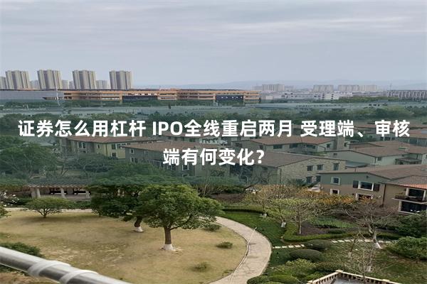 证券怎么用杠杆 IPO全线重启两月 受理端、审核端有何变化？