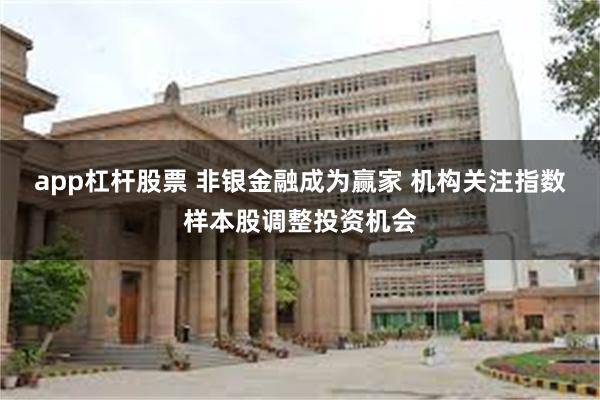 app杠杆股票 非银金融成为赢家 机构关注指数样本股调整投资机会