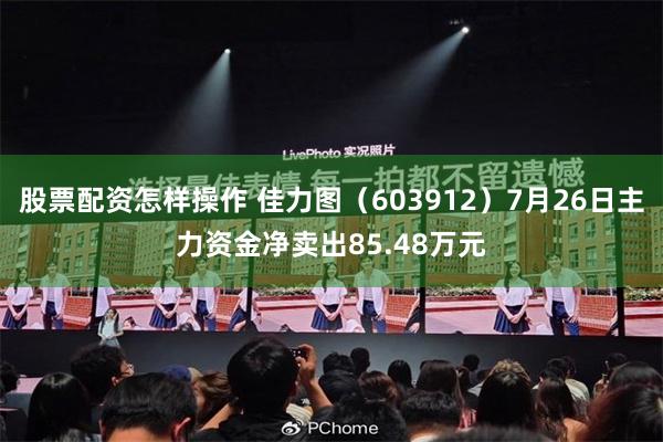 股票配资怎样操作 佳力图（603912）7月26日主力资金净卖出85.48万元