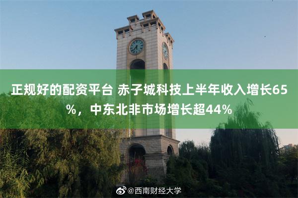 正规好的配资平台 赤子城科技上半年收入增长65%，中东北非市场增长超44%