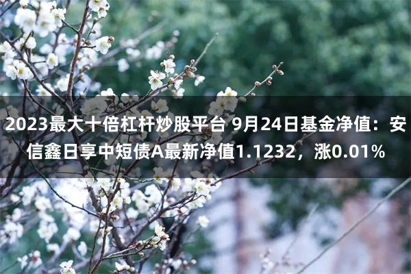 2023最大十倍杠杆炒股平台 9月24日基金净值：安信鑫日享中短债A最新净值1.1232，涨0.01%