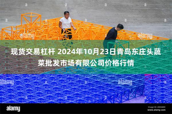 现货交易杠杆 2024年10月23日青岛东庄头蔬菜批发市场有限公司价格行情