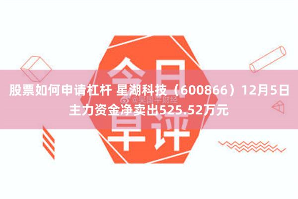 股票如何申请杠杆 星湖科技（600866）12月5日主力资金净卖出525.52万元