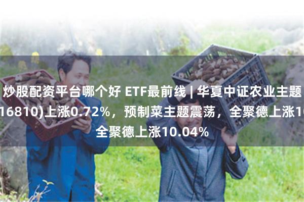 炒股配资平台哪个好 ETF最前线 | 华夏中证农业主题ETF(516810)上涨0.72%，预制菜主题震荡，全聚德上涨10.04%