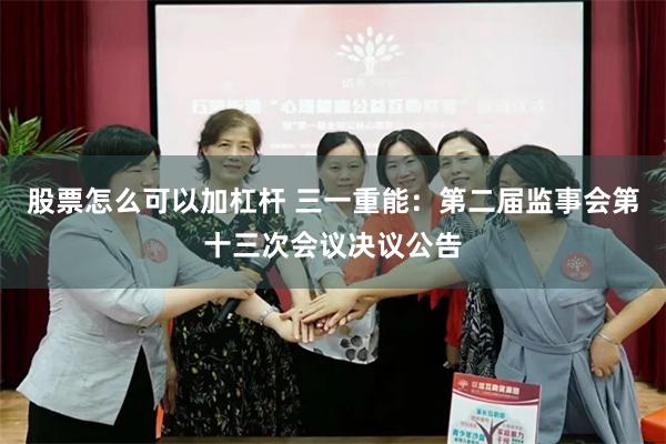 股票怎么可以加杠杆 三一重能：第二届监事会第十三次会议决议公告